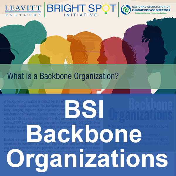 BSI Backbone Organizations