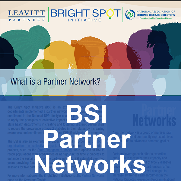 BSI Partner Networks